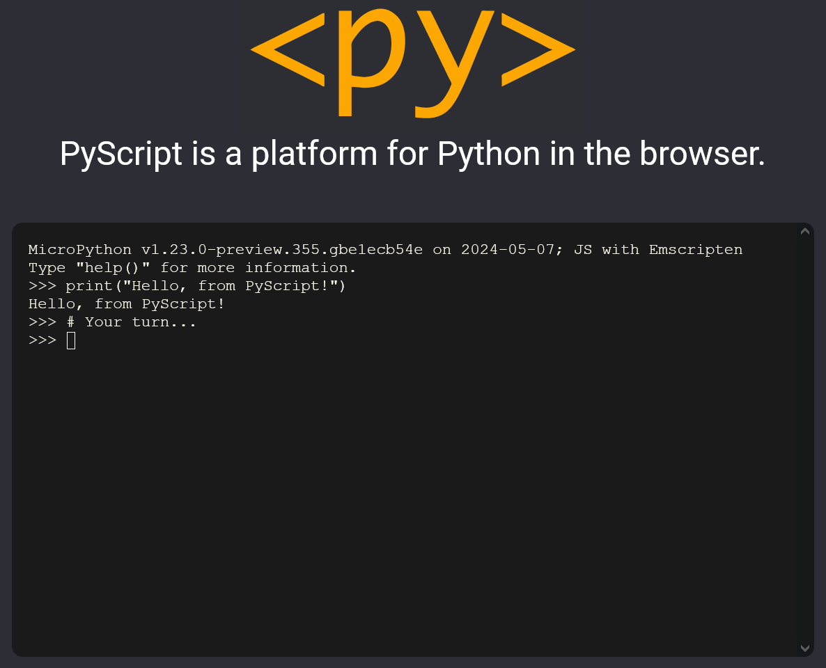 PyScript Screenshot