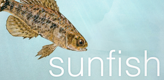 Sunfish